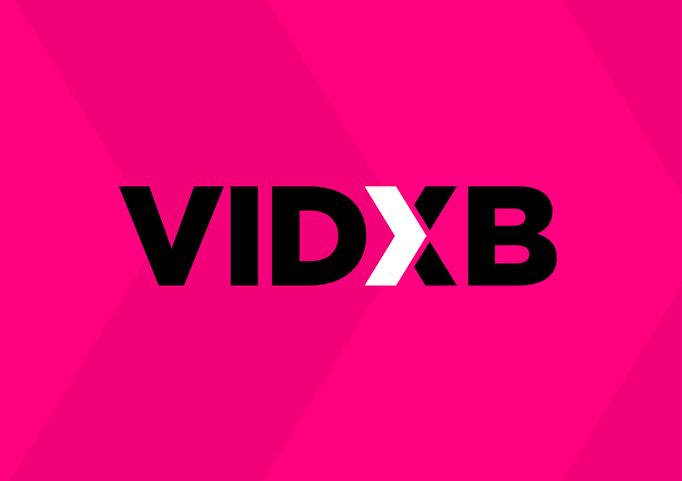 VIDXBlogo